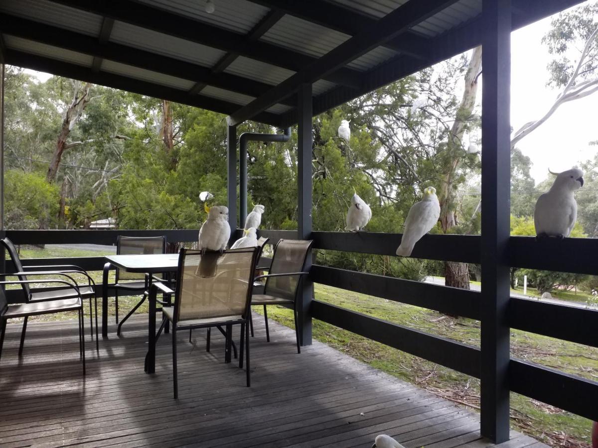 Cockatoo Cabin Halls Gap Exterior foto